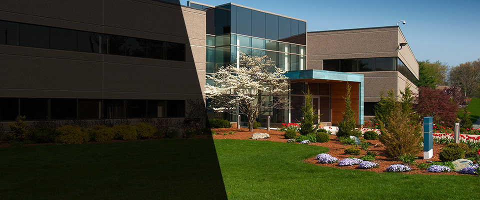 Mesilla Park Landscapers