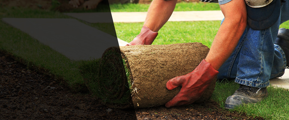 Mesilla Park Landscapers